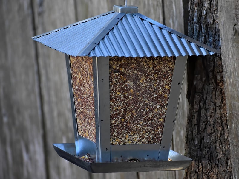 Plastic Bottle Bird Feeder