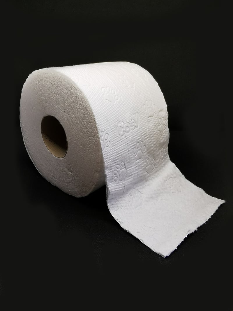 Cardboard Roll Napkin Rings